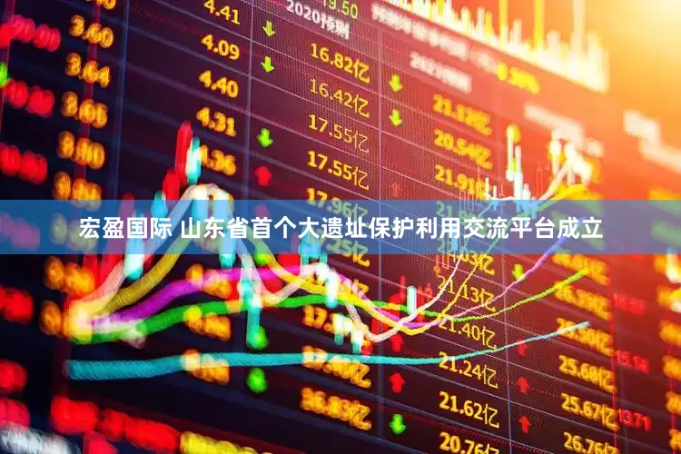 宏盈国际 山东省首个大遗址保护利用交流平台成立