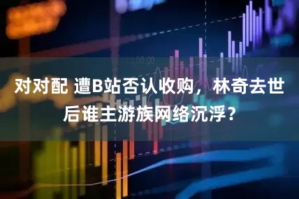 对对配 遭B站否认收购，林奇去世后谁主游族网络沉浮？